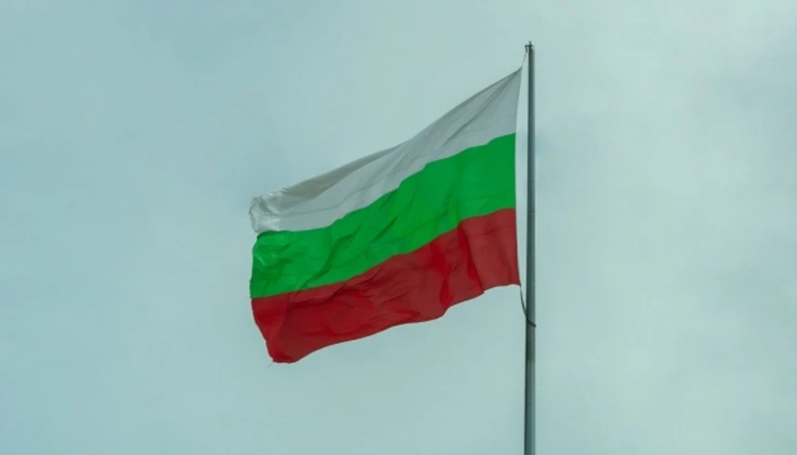 Хто коментує інцидент із дроном біля газогону в Болгарії: ролі та заяви