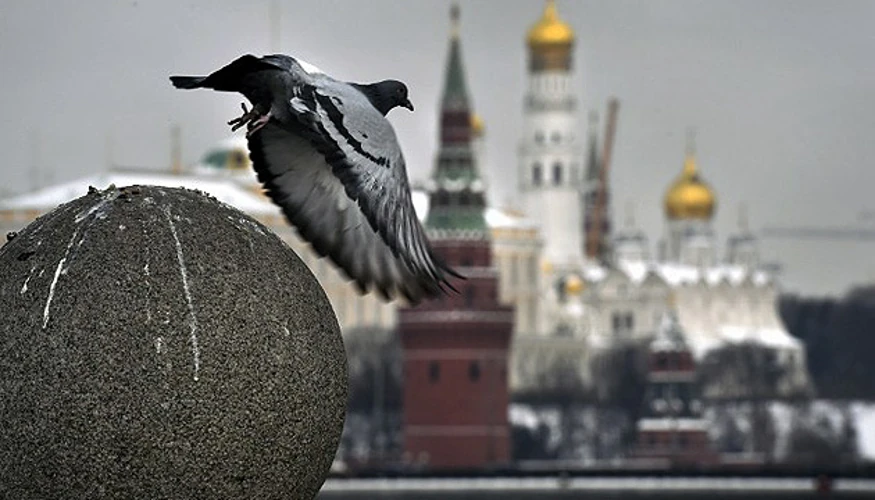 Кремль після саміту у Нью-Йорку: передумов для мирного треку поки що немає