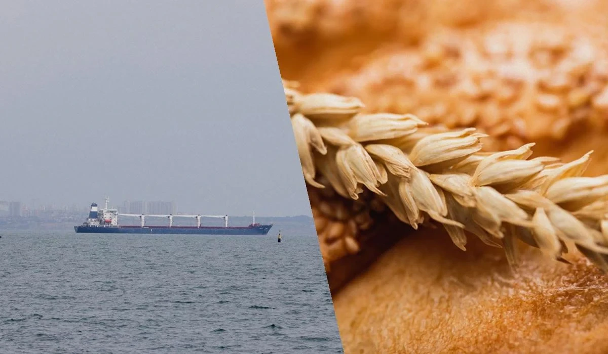 Зерновий коридор у Чорному морі: що відомо про переговори України з трьома країнами